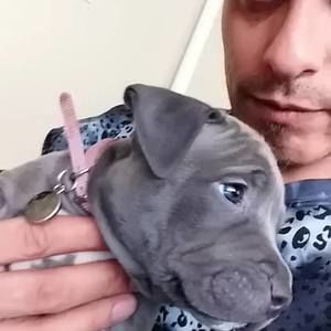 Meet your Posher, Alejandro